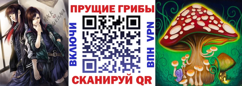Псилоцибиновые грибы Cubensis Валуйки